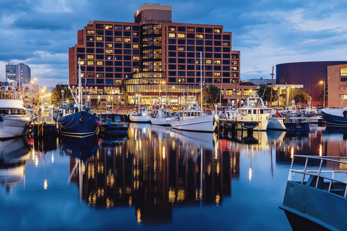 Hobart City View