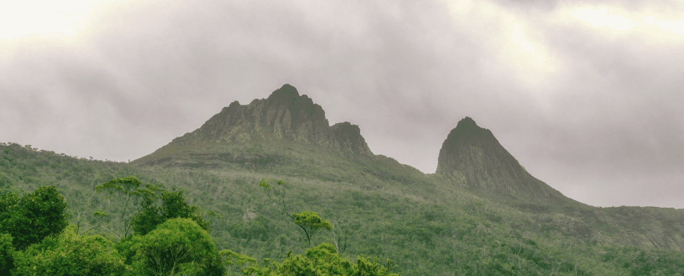 Tasmania Holiday Rentals