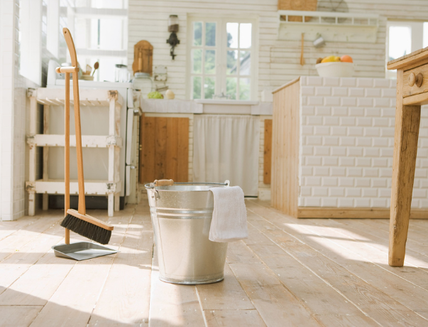 Deep Clean and Pest Control Before Peak Season