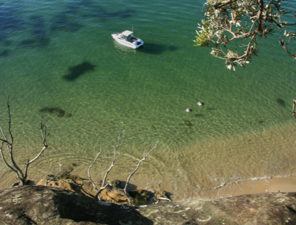 Spit Bridge to Manly: Bushland and Harbour Views